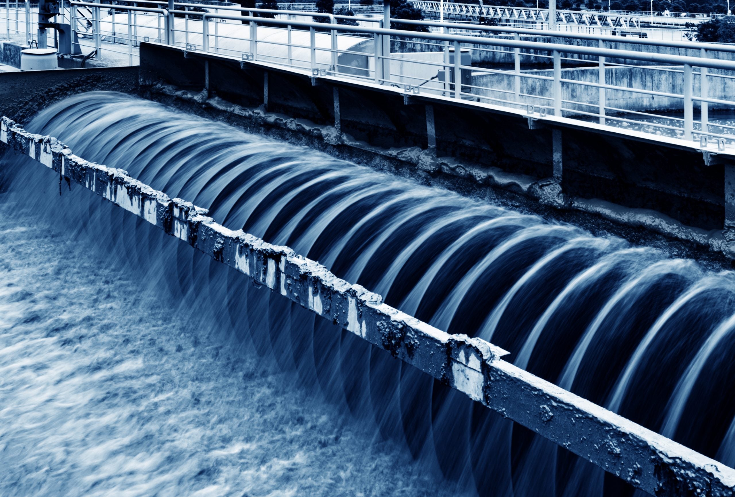 Benefits of Chlorine-Free Shower Water