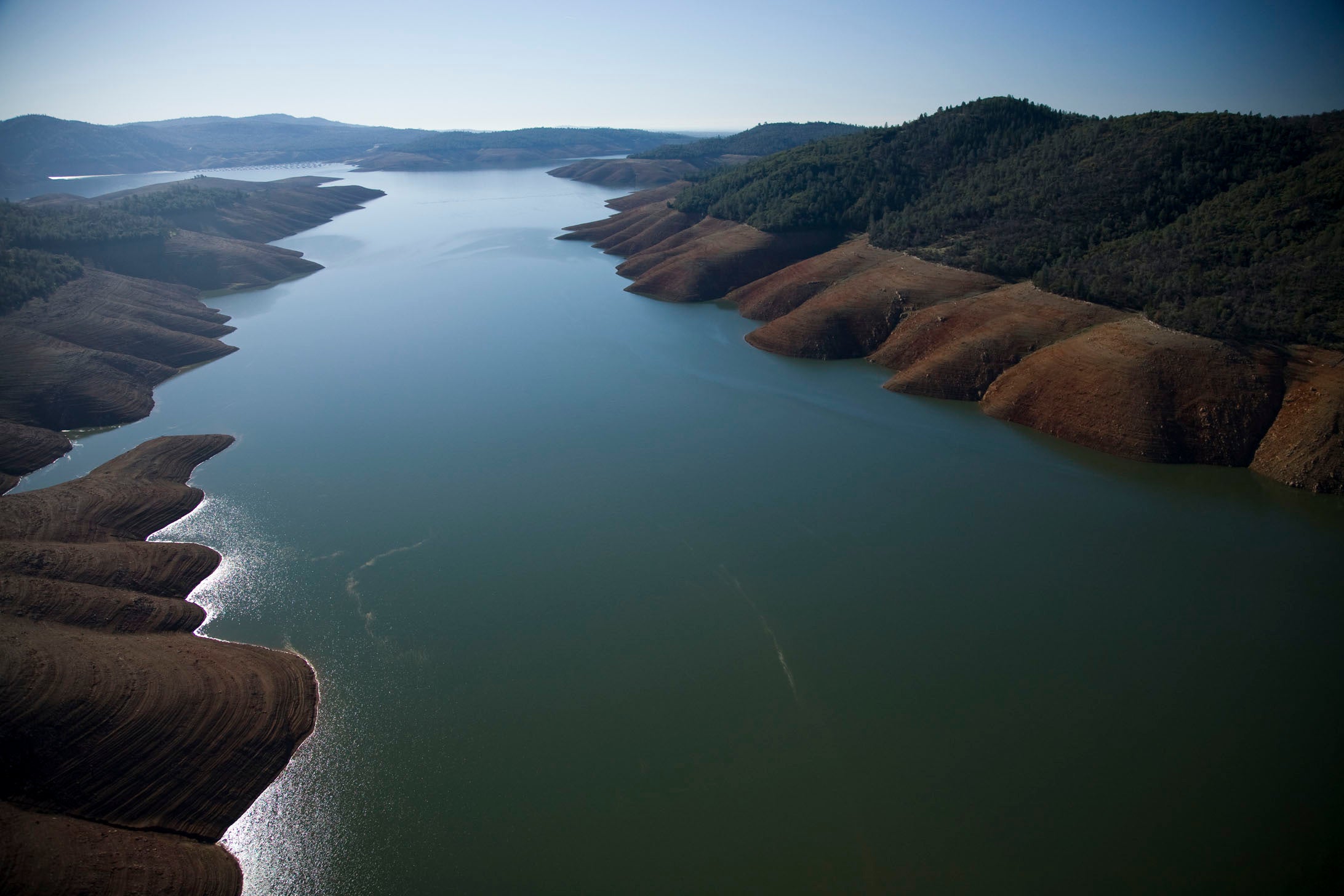 The Dangers of Showering with Unfiltered Water in California